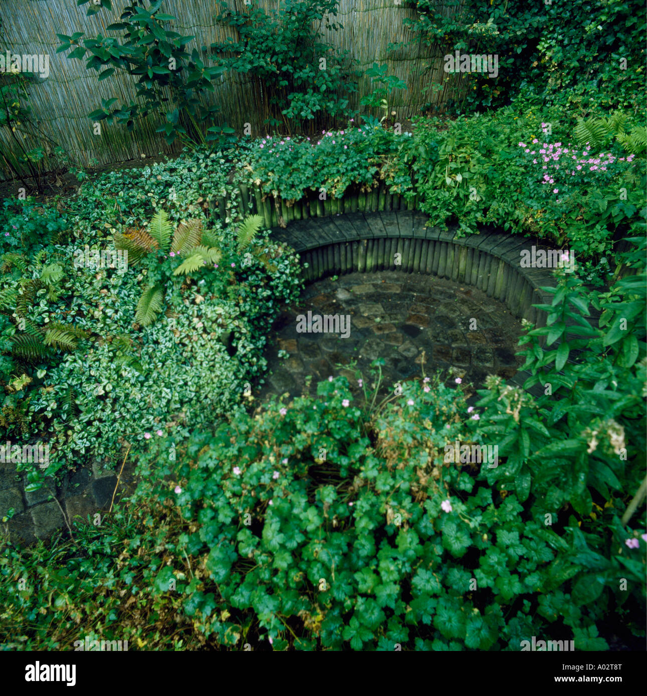 Paved circular sunken garden with green ground cover Stock Photo