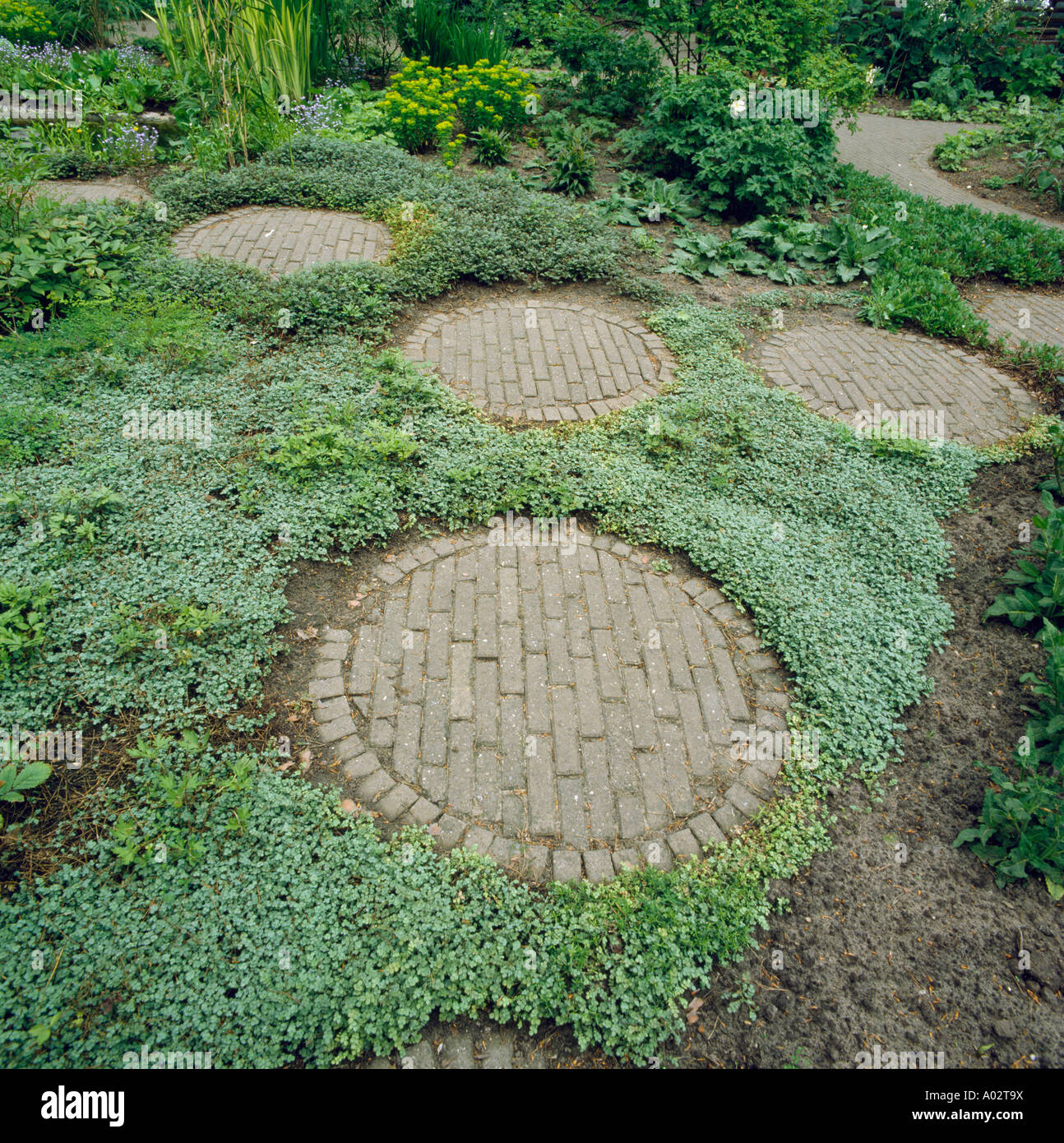 Circular paving and underplanting in low maintenance garden Stock Photo