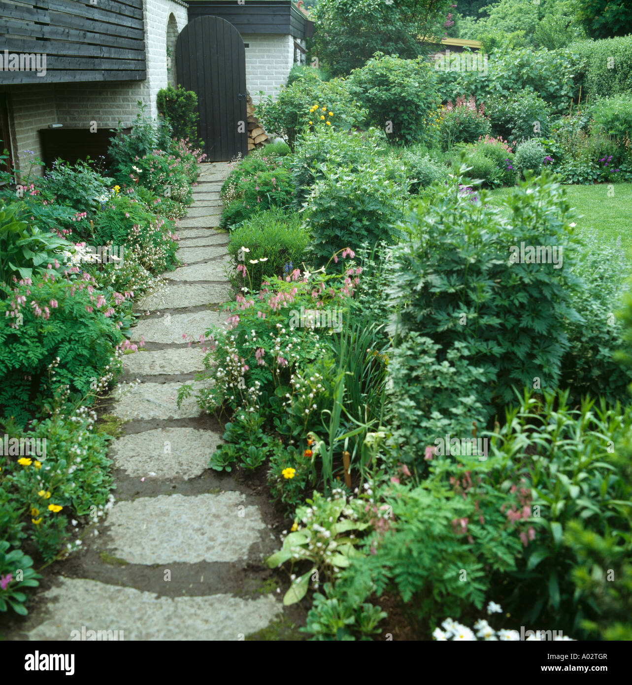 Paved path through summer flowering borders in cottage garden Stock