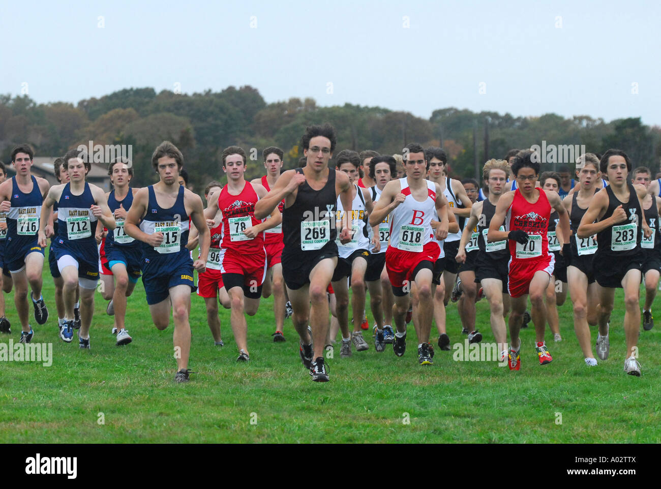 Cross country running children hires stock photography and images Alamy