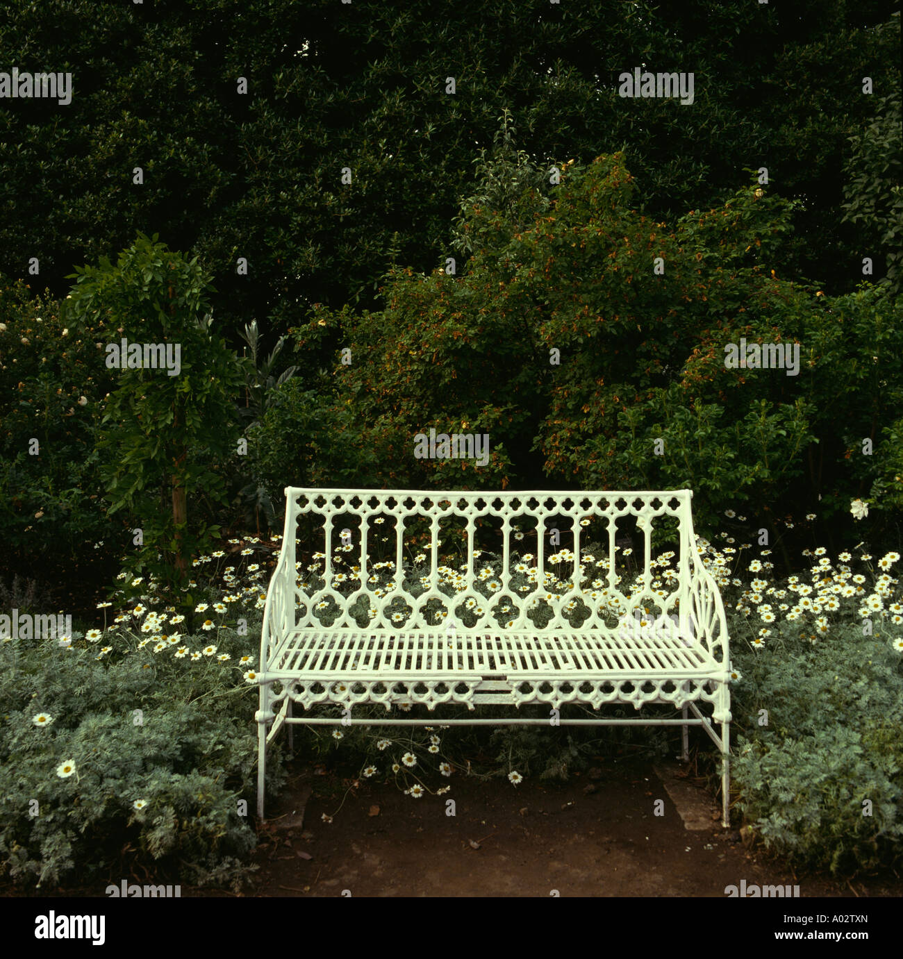 Decorative white metal garden seat underplanting with white daisies