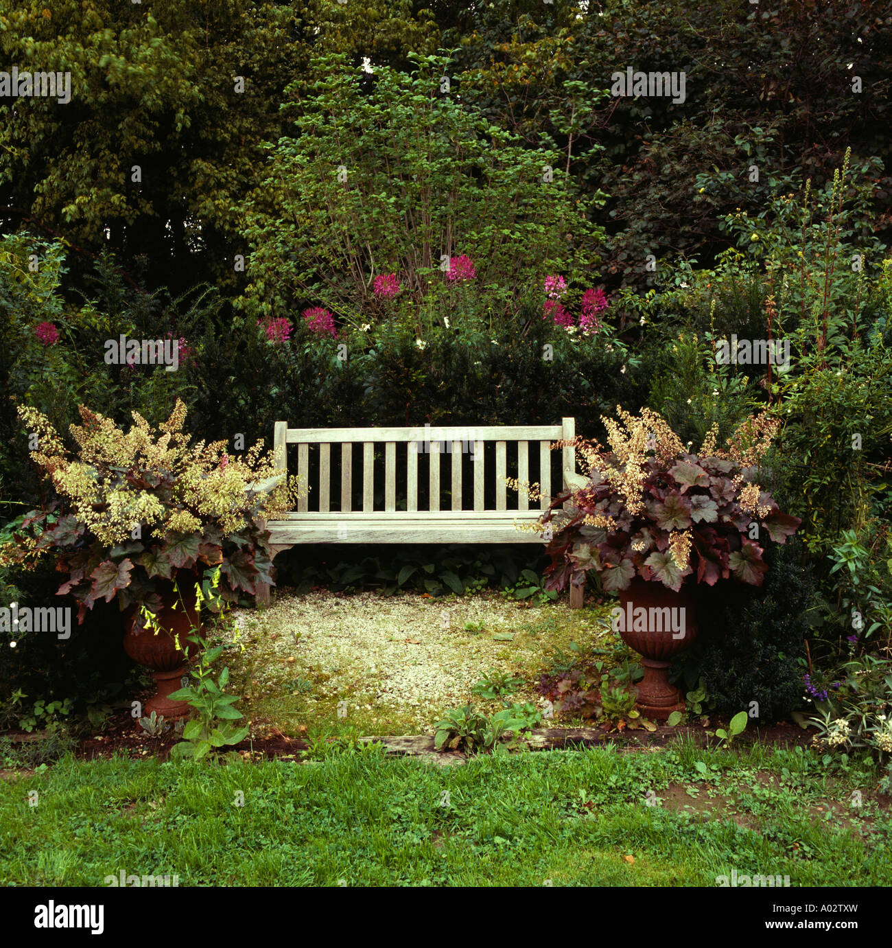 Old Wooden Garden Bench Against Trees And Shrubs In Country Garden