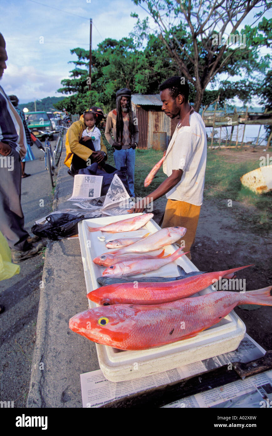 Fish Vendor at roadside market, Near Port Antonio, Jamaica, West Indie,s Caribbean. No Model