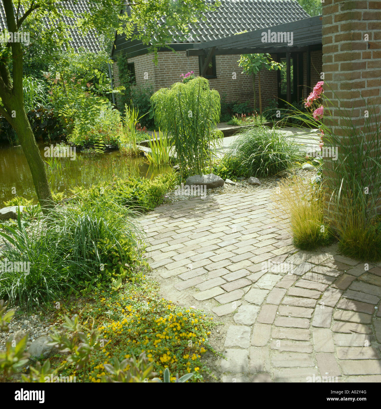 Paving and planting around pond in townhouse garden Stock Photo