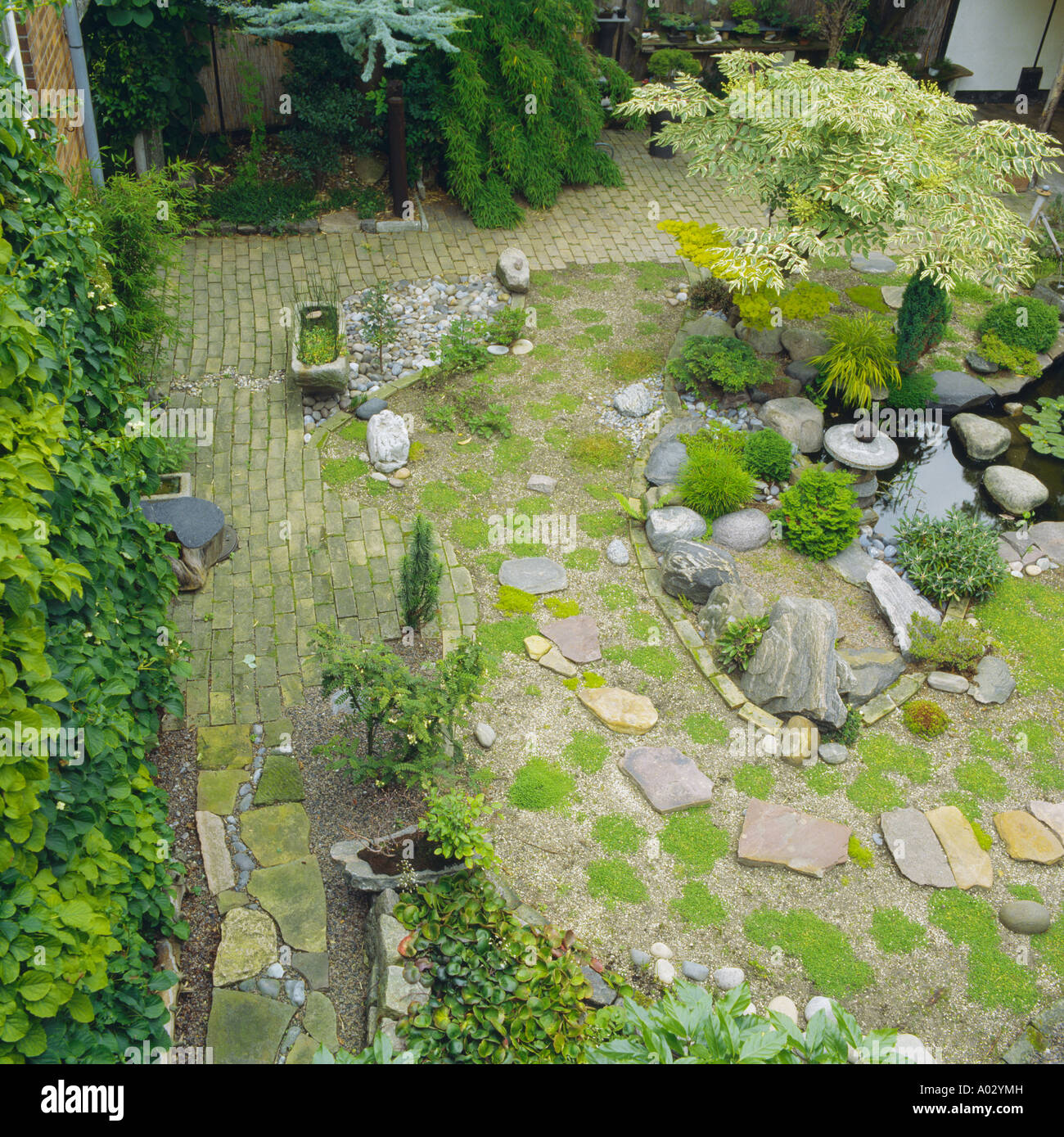 Aerial view of corner of walled courtyard with climmbing hydrangea and dwarf coniifers in gravel around a small pool Stock Photo