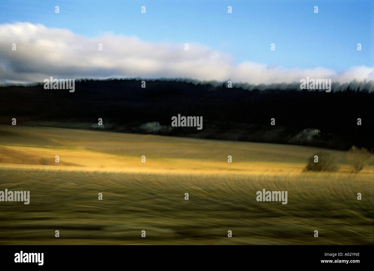Blurred view from a car of a wheat field Stock Photo