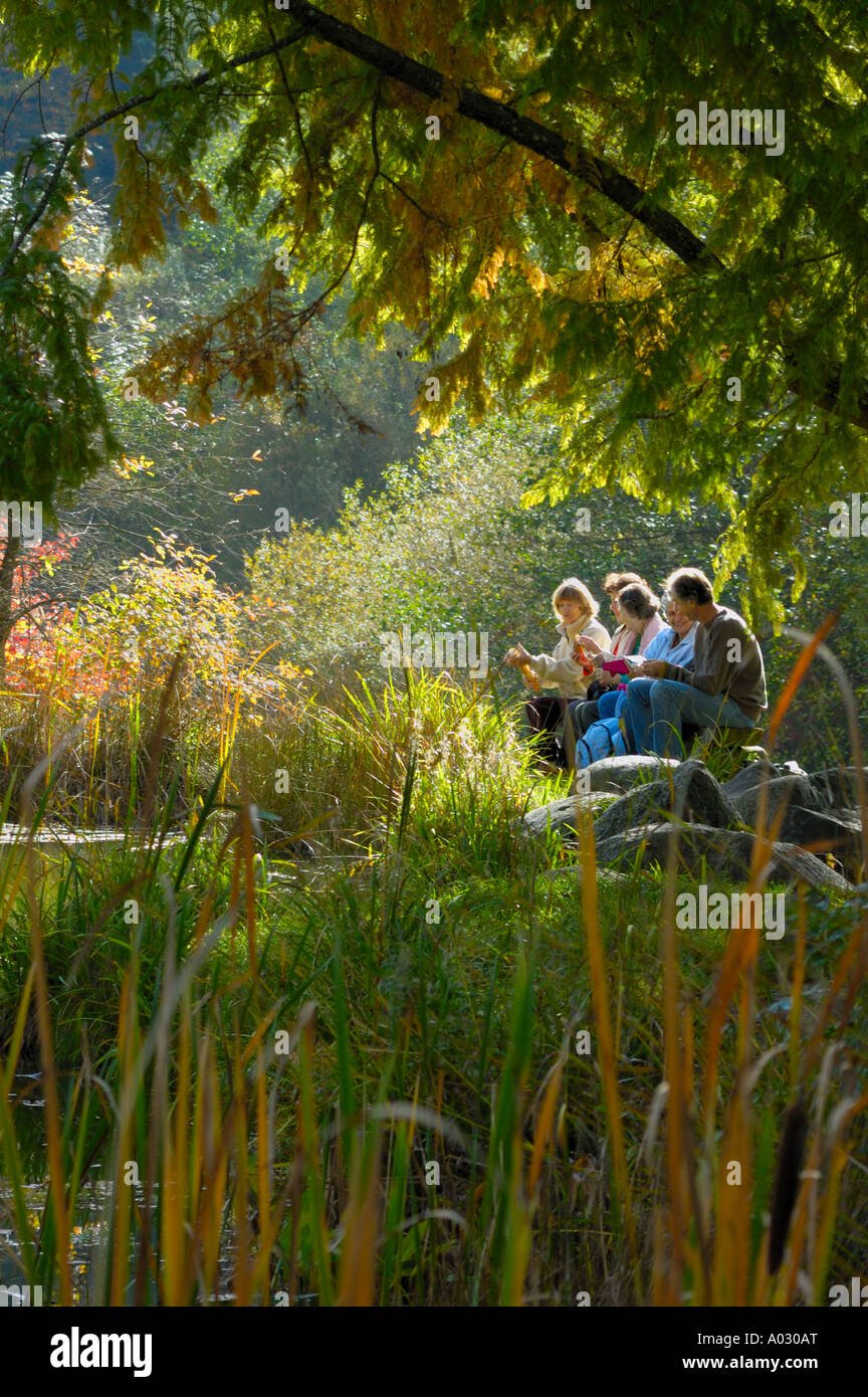 A group of hikers sharing an outdoor breakfast beside a woodland pool, taken against the light Stock Photo