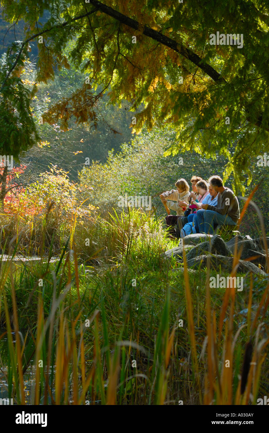A group of hikers sharing an outdoor breakfast beside a woodland pool, taken against the light Stock Photo