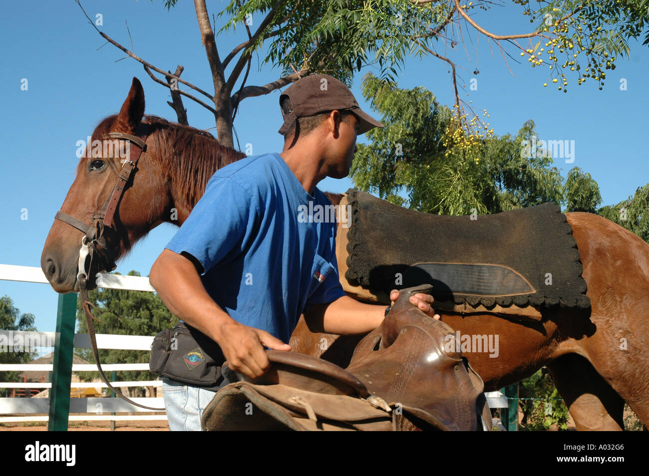 Casa de Campo Resort Dominican Republic Saddling Horse hotel mega