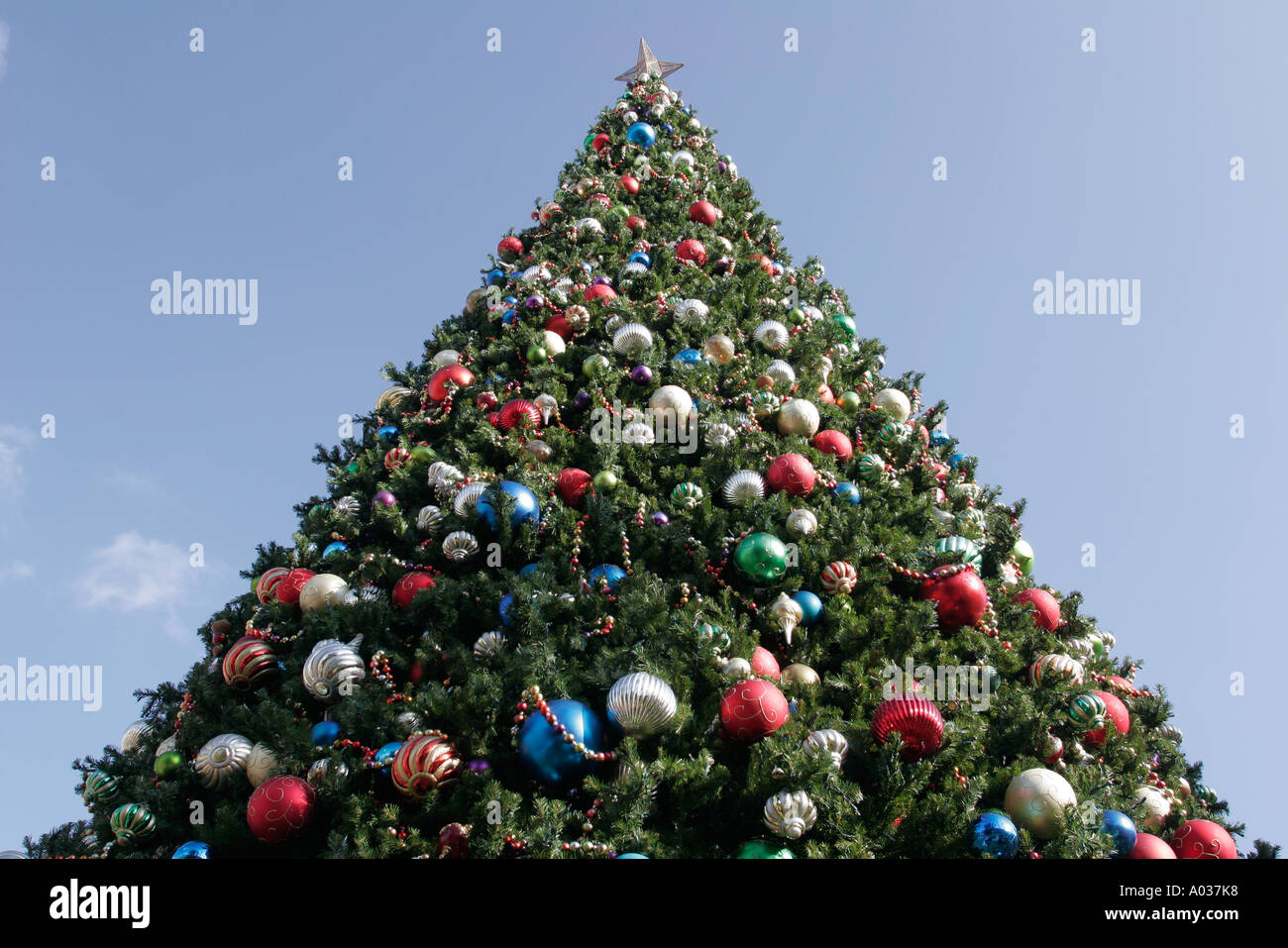 Miami Florida,Coral Gables,Village of Merrick Park,Winter Holiday