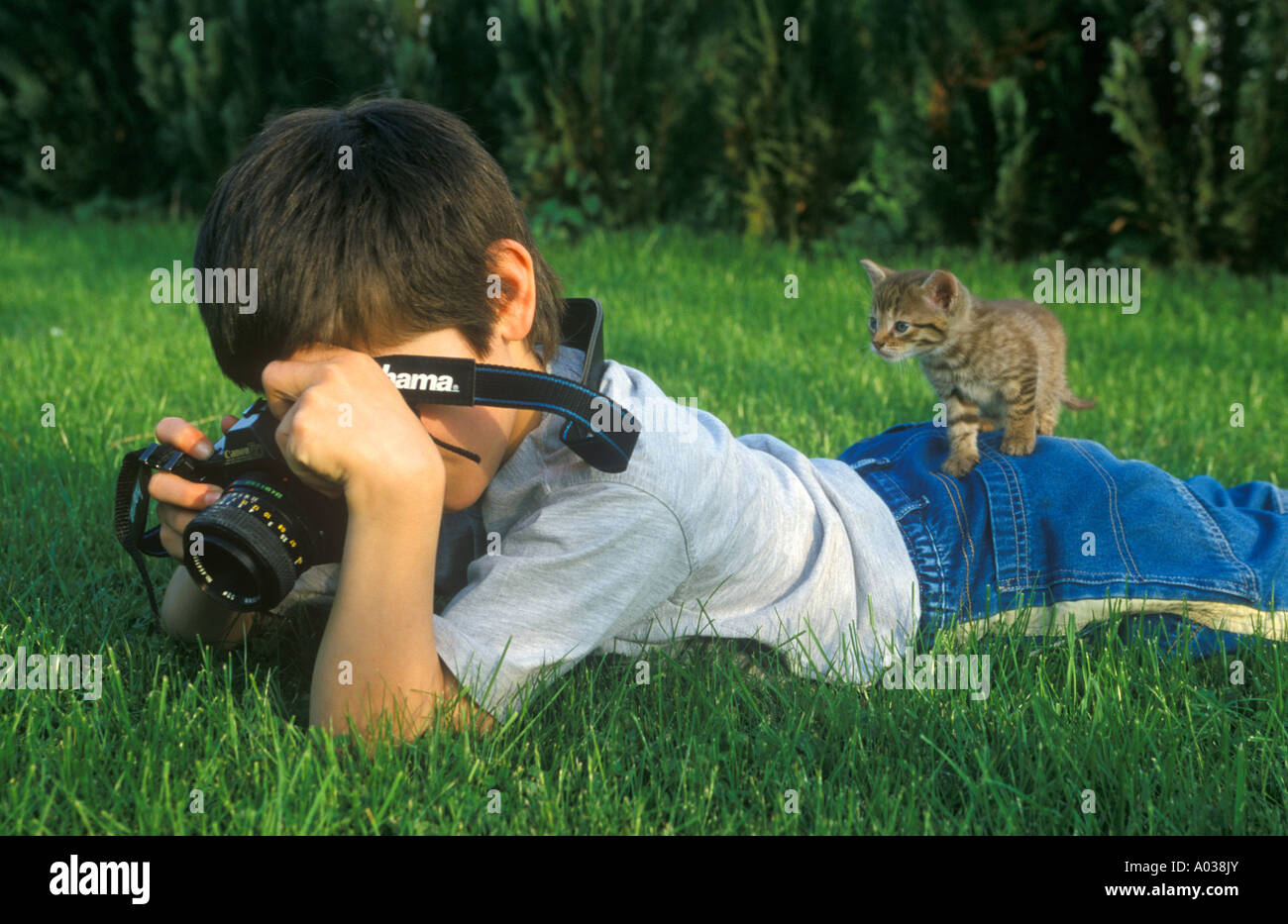 a boy is lying on a lawn taking photographs with a nosy kitten on his bottom Stock Photo