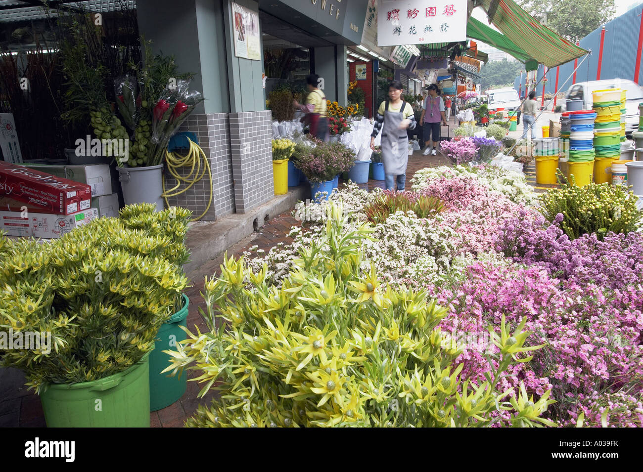 Flower Market , Hong Kong Stock Photo