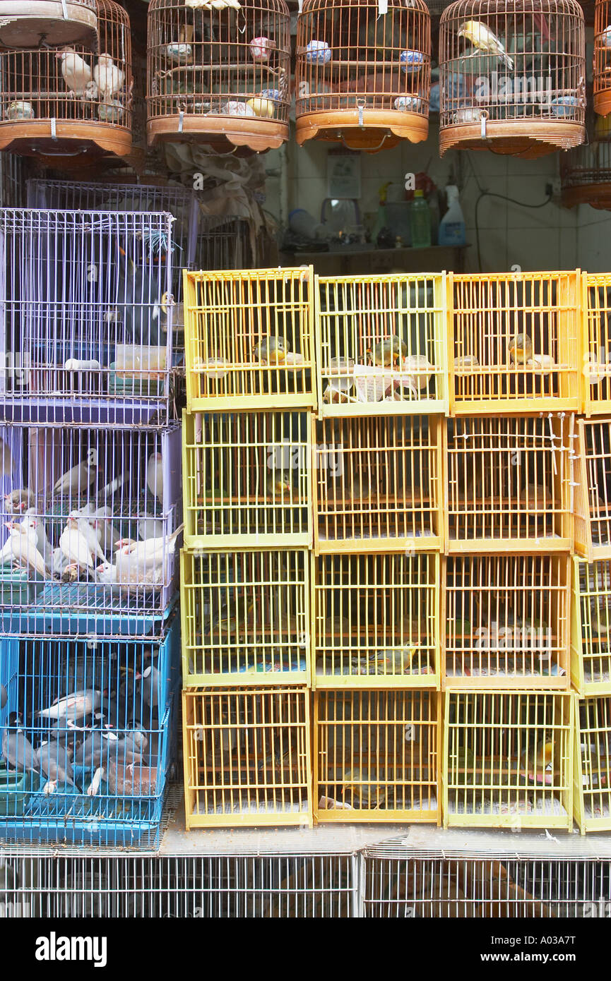 Bird Cages , Bird Market , Mongkok Stock Photo Alamy