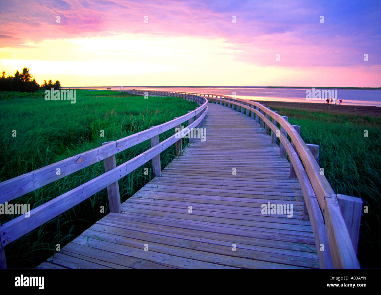a boardwalk along the sea in Kouchibouguac National Park in New