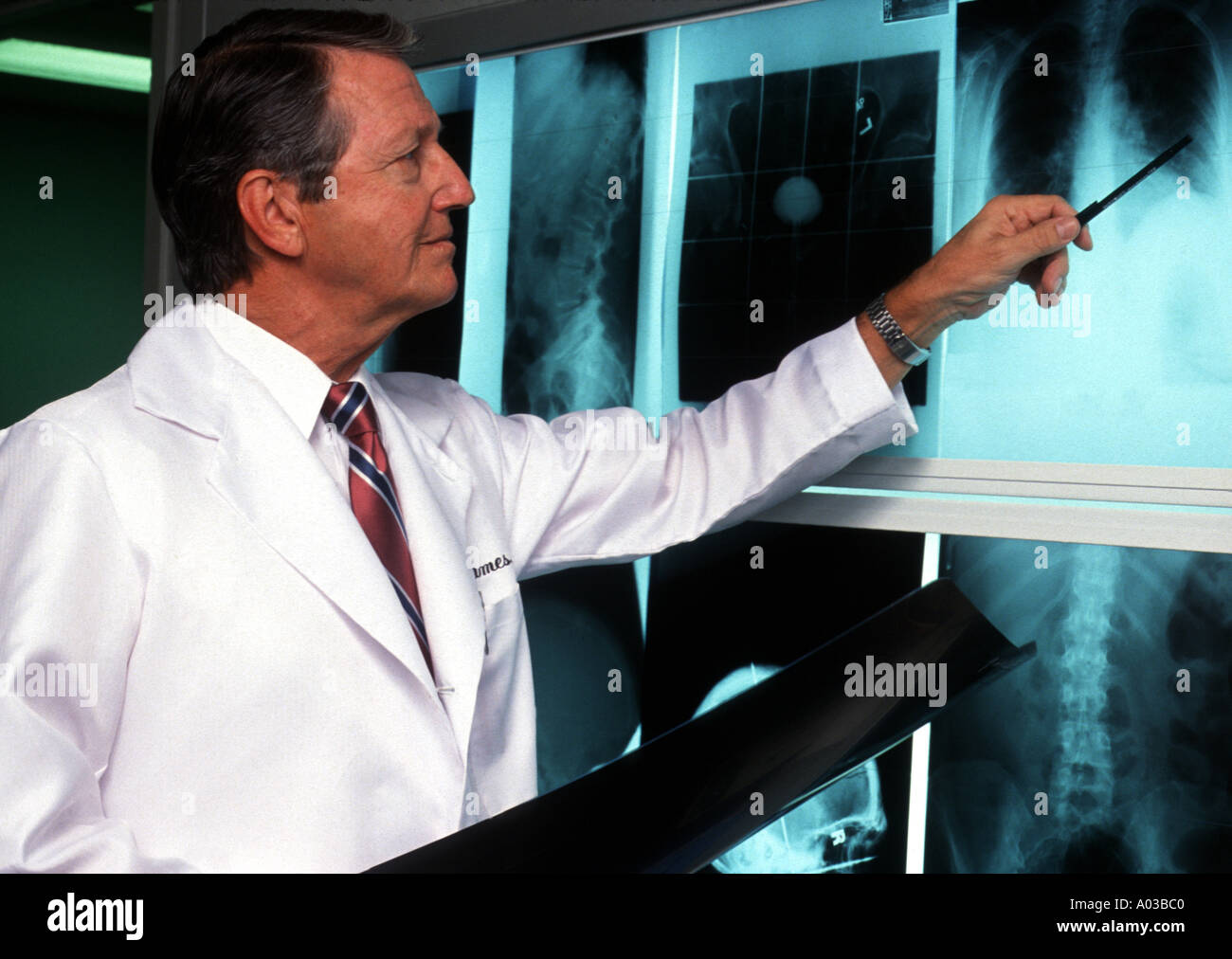 Medical doctor examining X rays Stock Photo Alamy