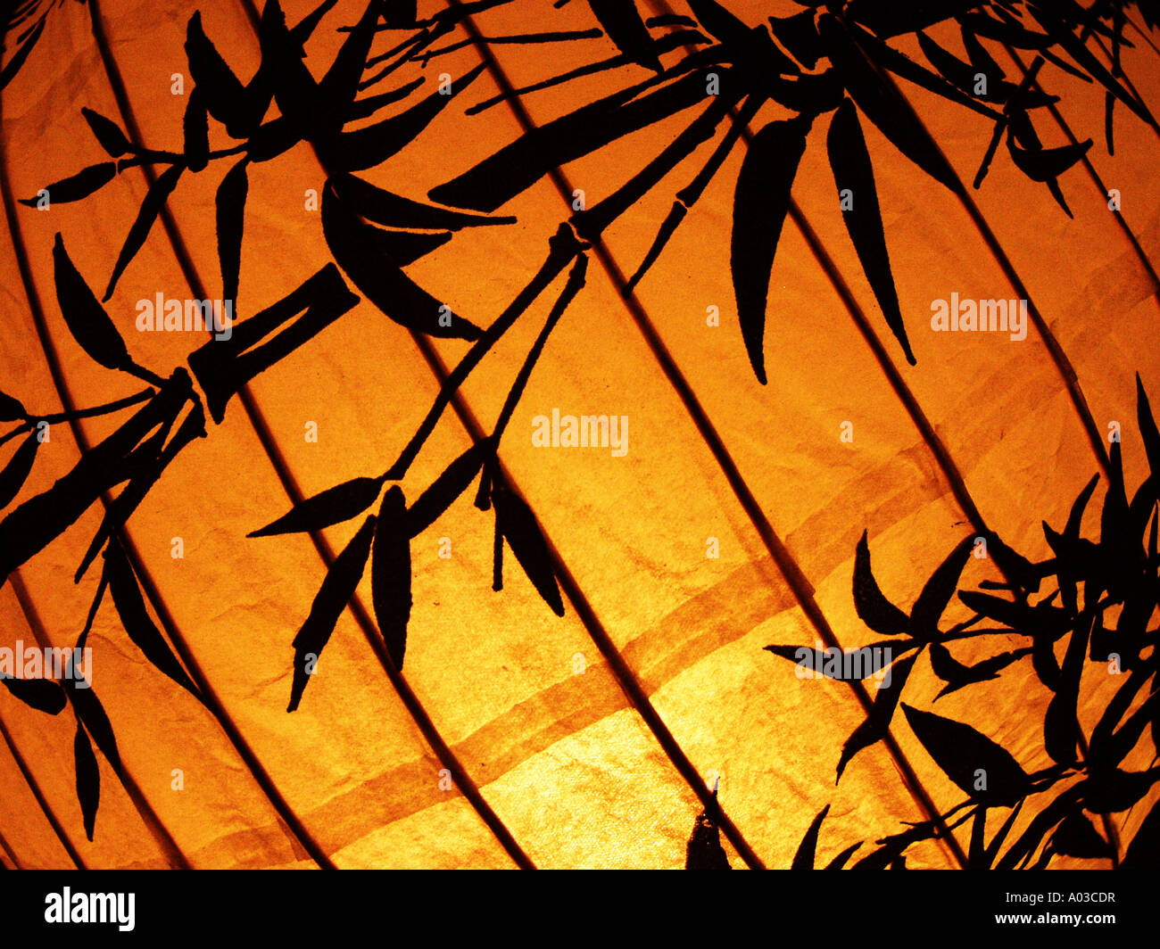 Bamboo Ribbing High Resolution Stock Photography and Images - Alamy