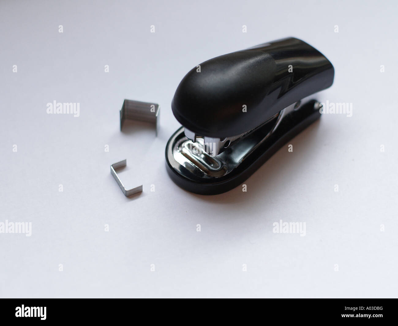 Small black stapler and staples on a white surface. Stock Photo