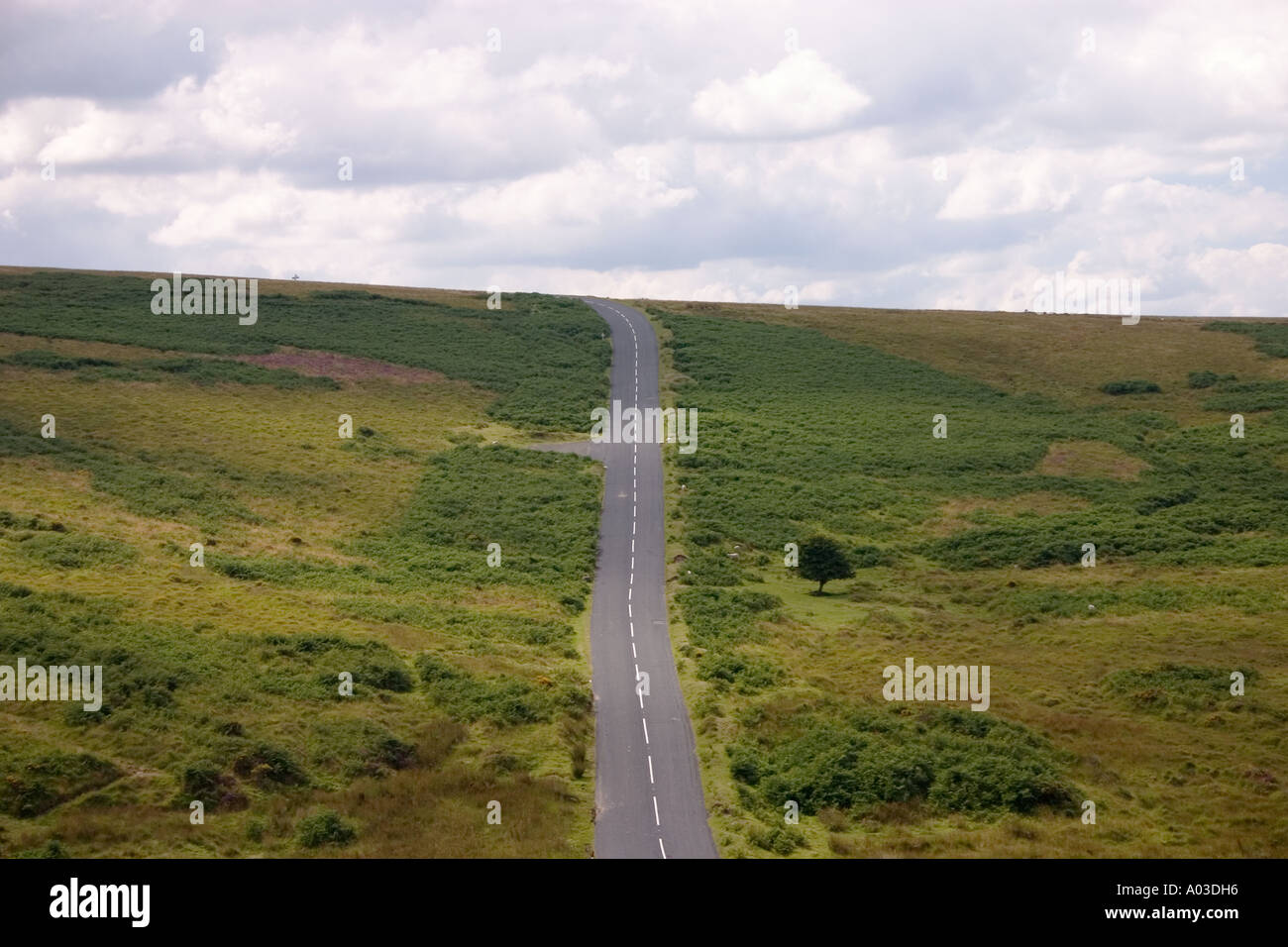 Road through Dartmoor Stock Photo Alamy