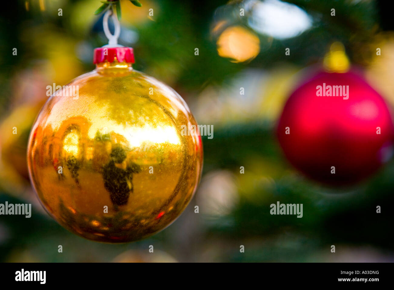 Gold and red bauble on a christmas tree Stock Photo
