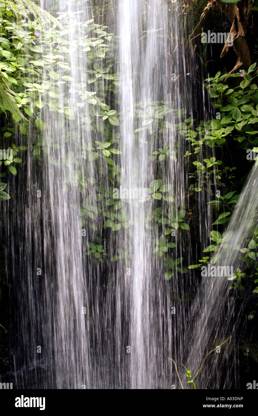 Rushing water falling from waterfall Stock Photo - Alamy