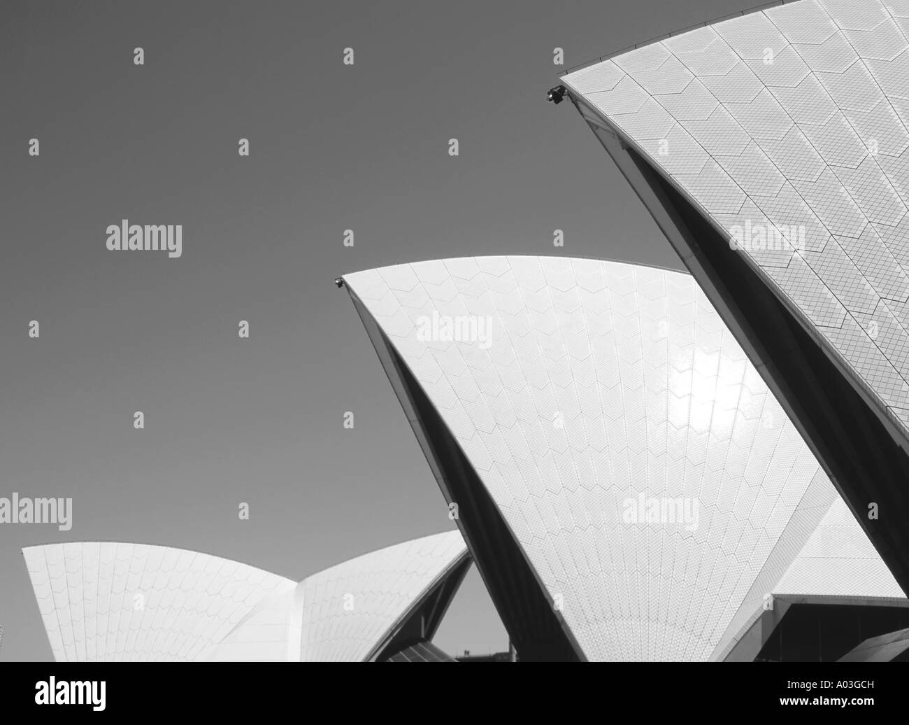 the sails of the sydney opera house in black and white Stock Photo - Alamy