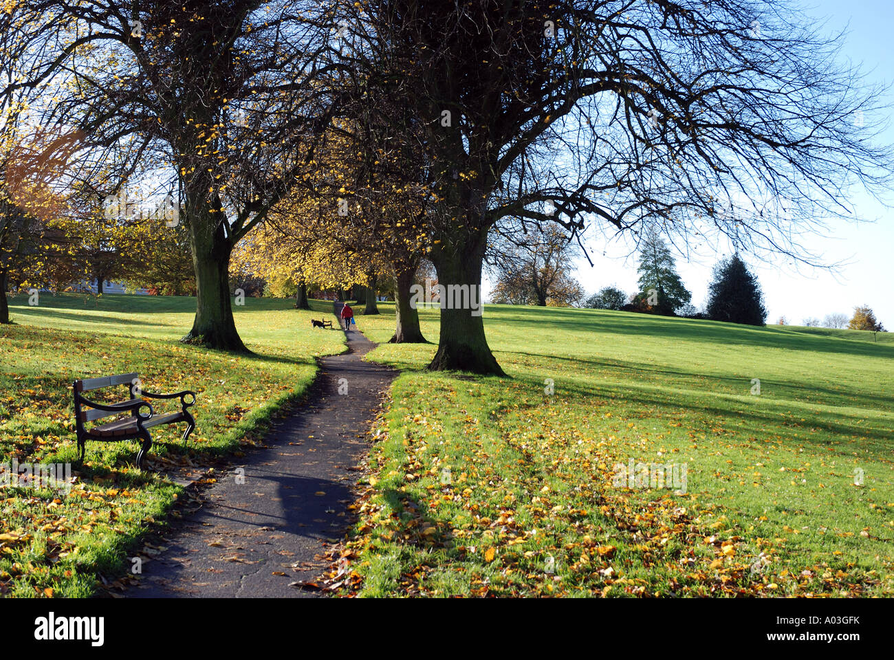 Abbey Fields in autumn, Kenilworth, Warwickshire, England, UK Stock