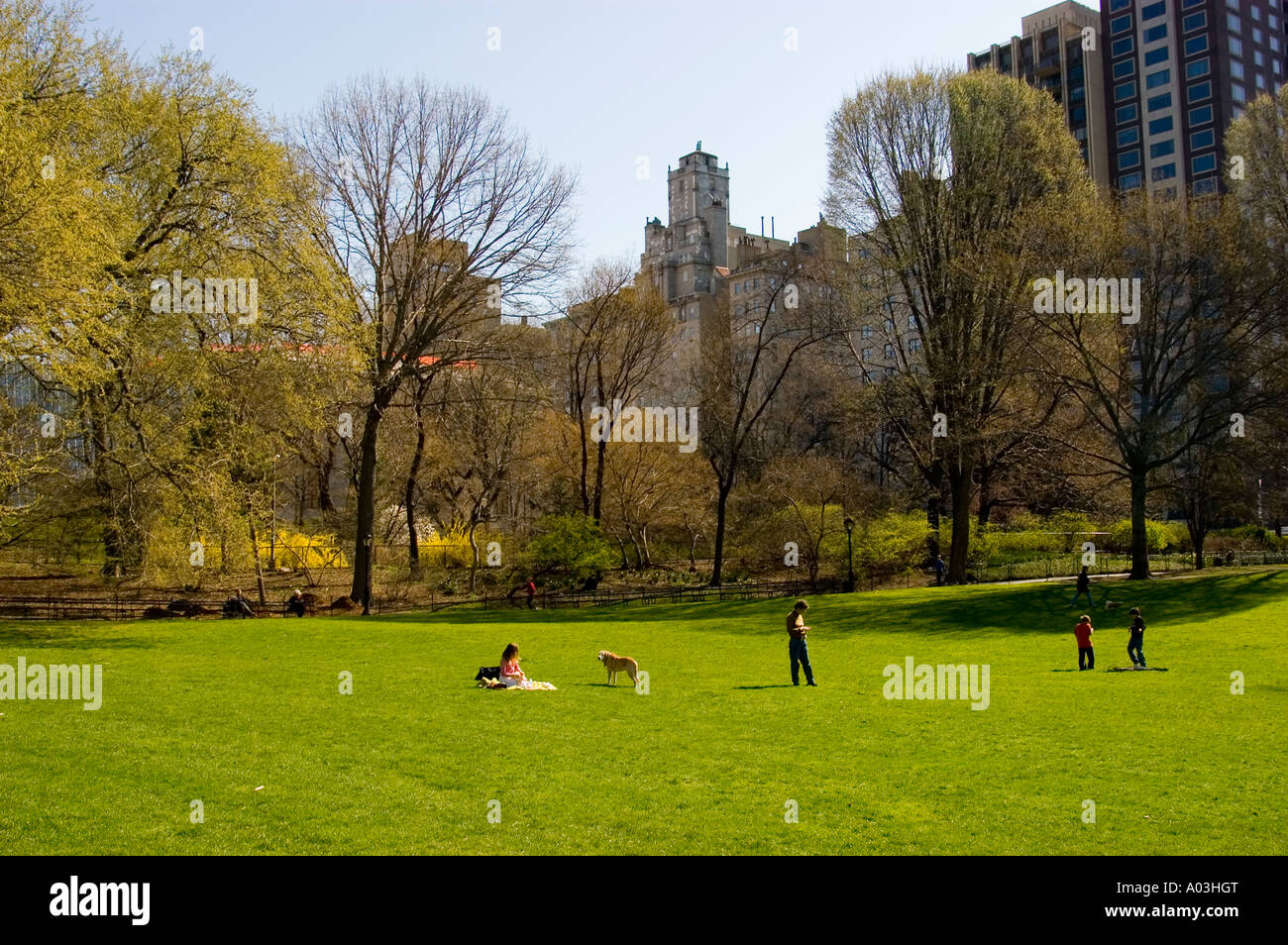 Central park new york city grass hi-res stock photography and images ...
