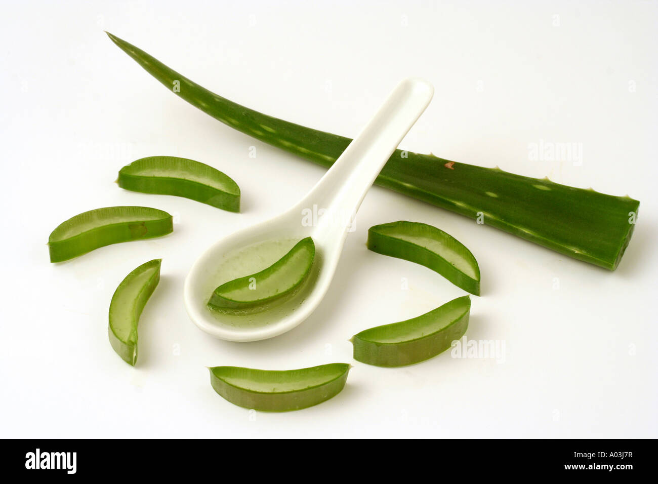 Burn plant Aloe vera Stock Photo Alamy