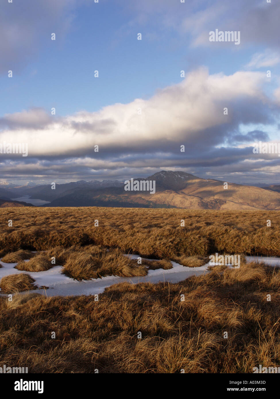 ben-lomond-in-cloud-hi-res-stock-photography-and-images-alamy