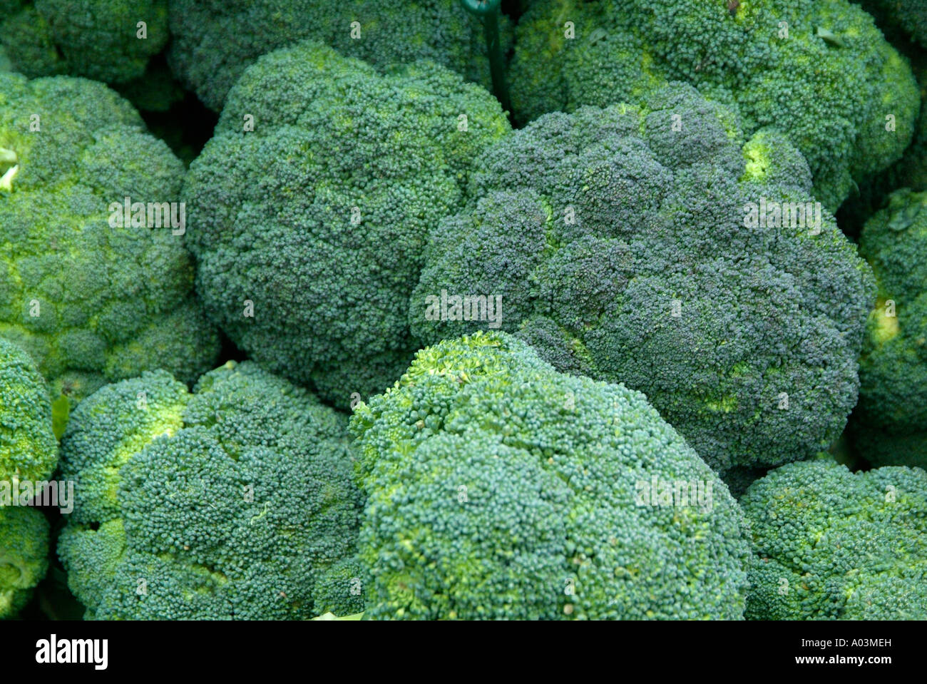 Broccoli broccoli florets vegetable raw ripe uncooked Stock Photo