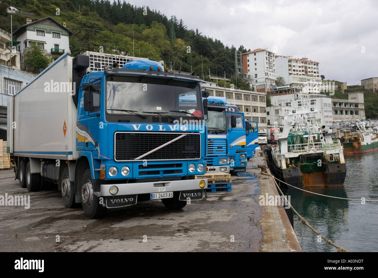 Refrigerated trucks loading fish on quayside Ondarroa fishing port Northern  Spain Stock Photo - Alamy