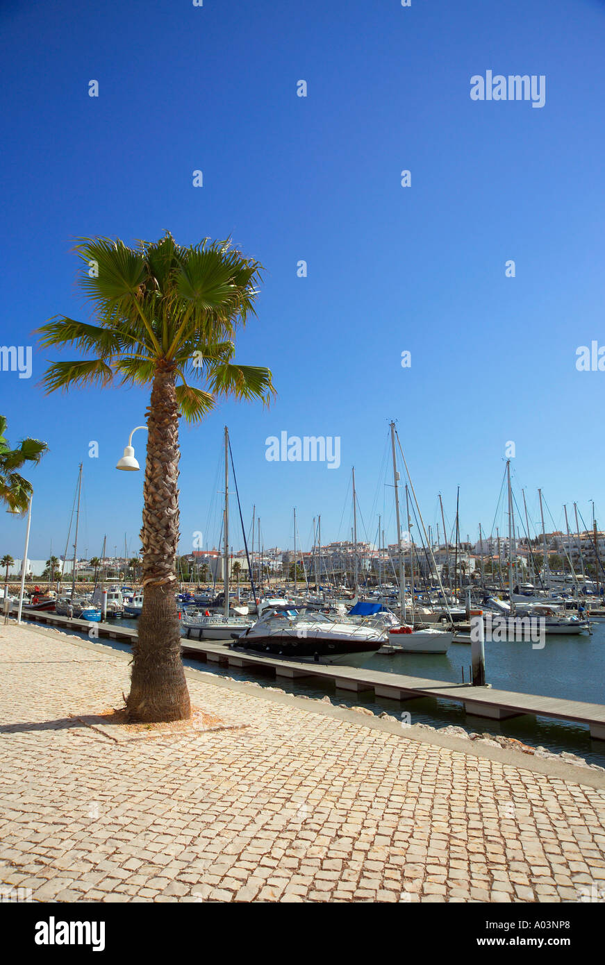Marina de Lagos, Lagos, Algarve, Portugal Stock Photo