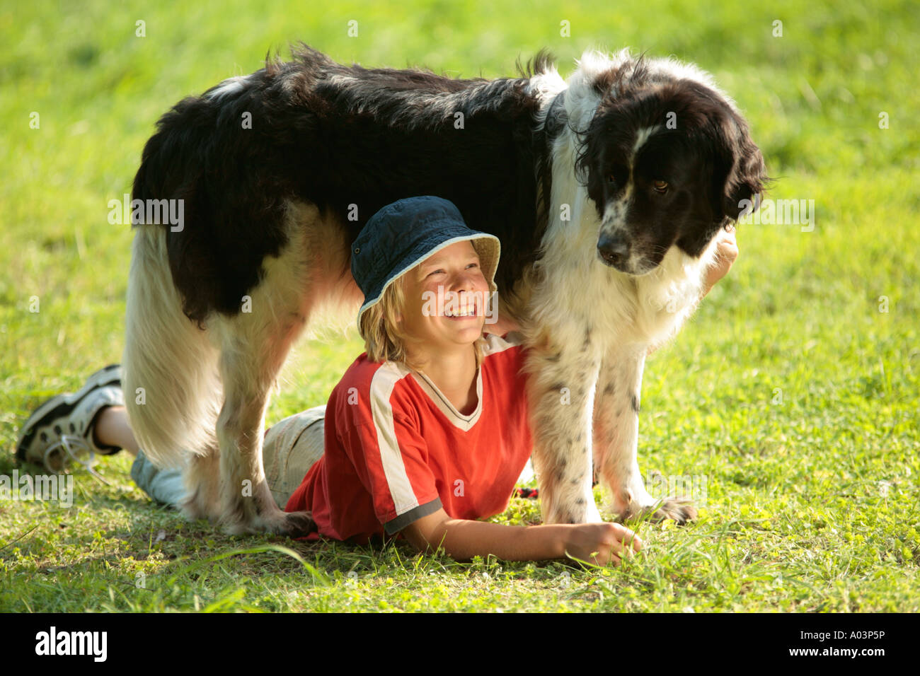 a young boy lying underneath his big dog Stock Photo