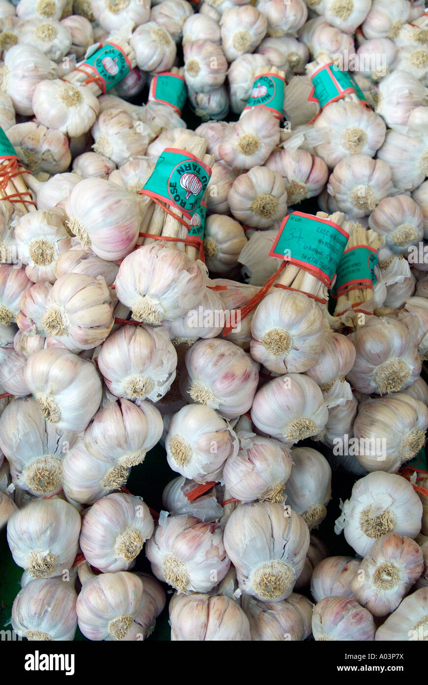 garlic onion string whole savoury fresh ingredient prepared processed whole tied rope odour
