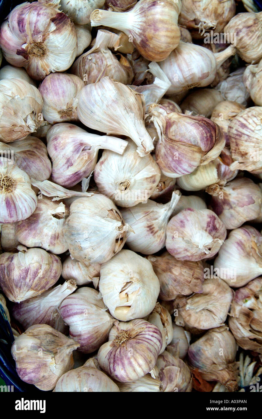 garlic onion string whole savoury fresh ingredient prepared processed whole tied rope odour