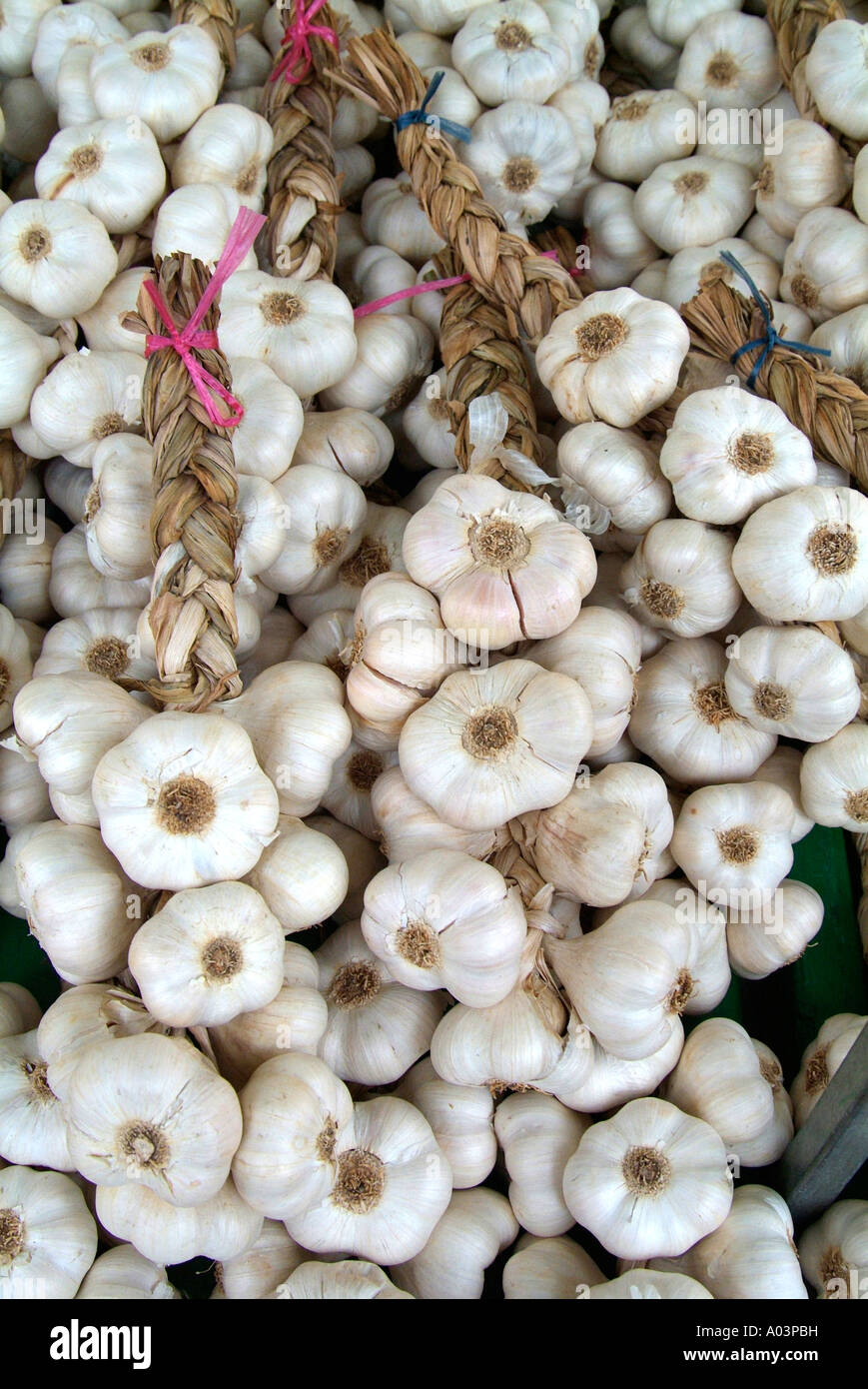 garlic onion string whole savoury fresh ingredient prepared processed