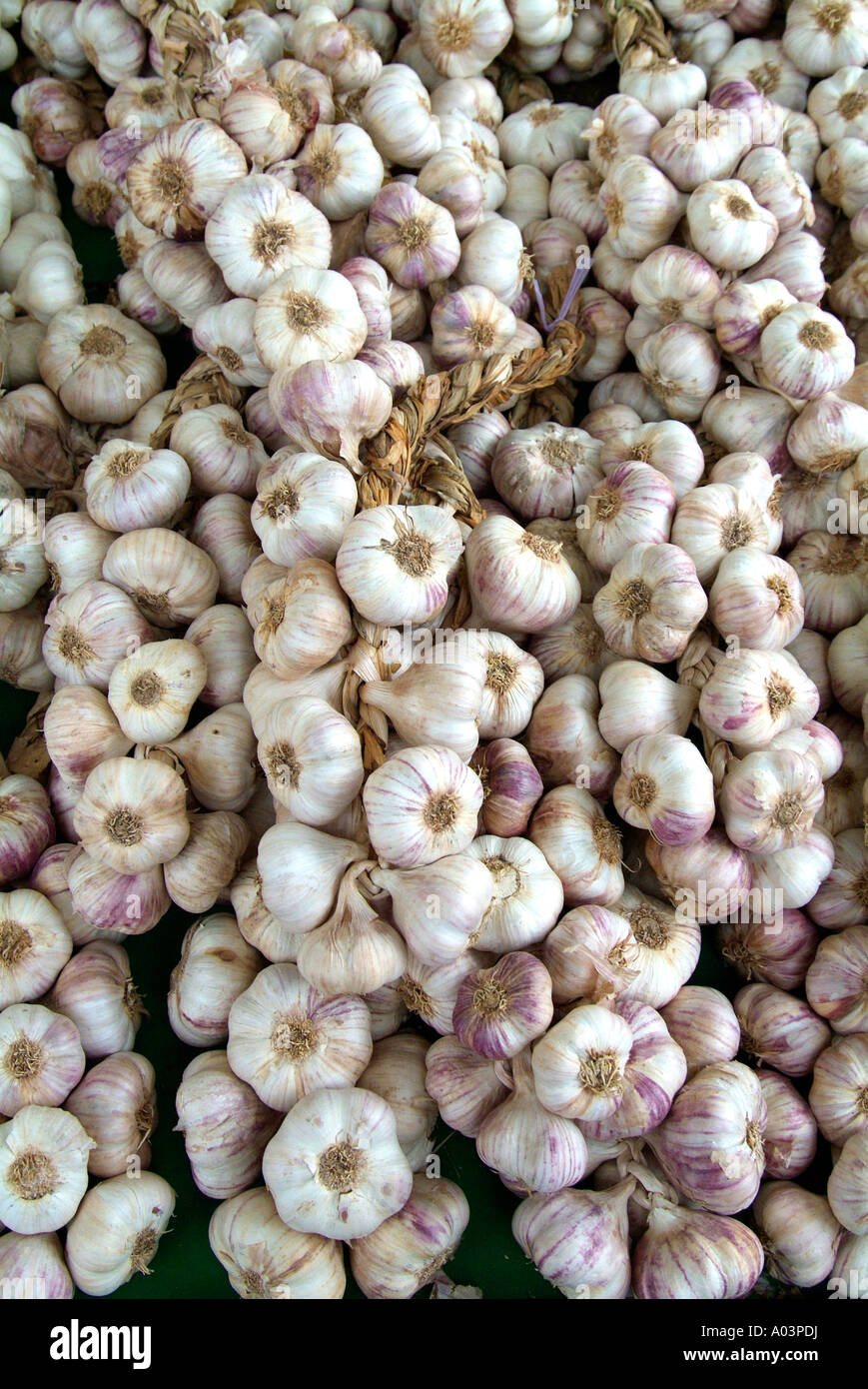 garlic onion string whole savoury fresh ingredient prepared processed
