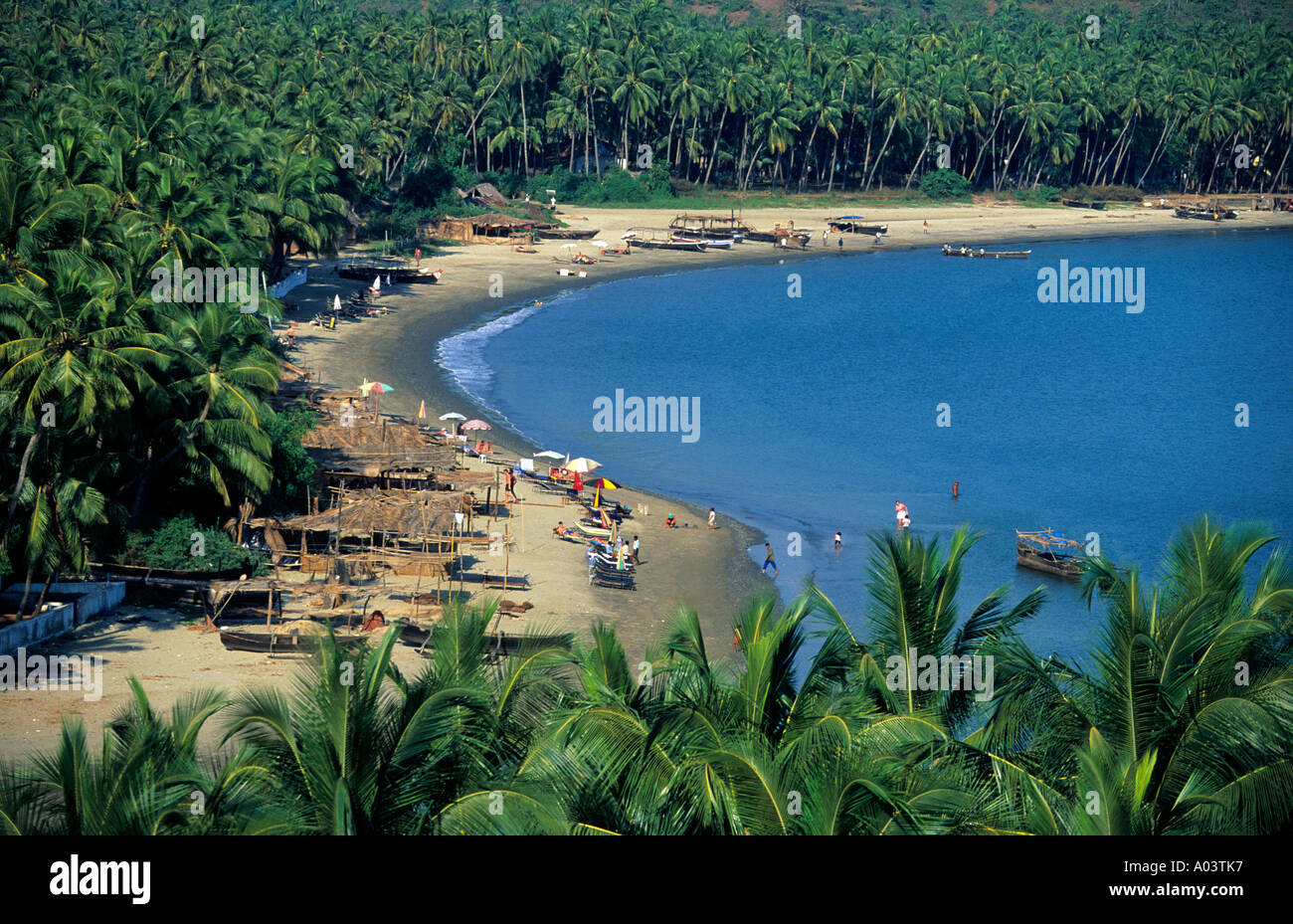 Coco cocoa palm trees green verdant hires stock photography and images