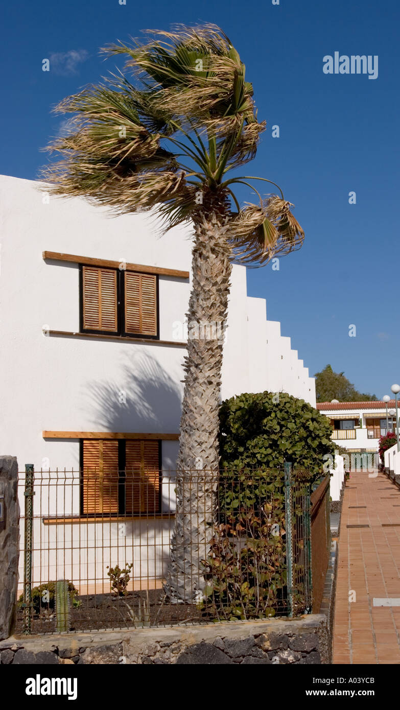 Costa del Silencio in south Tenerife Canary Islands Stock Photo