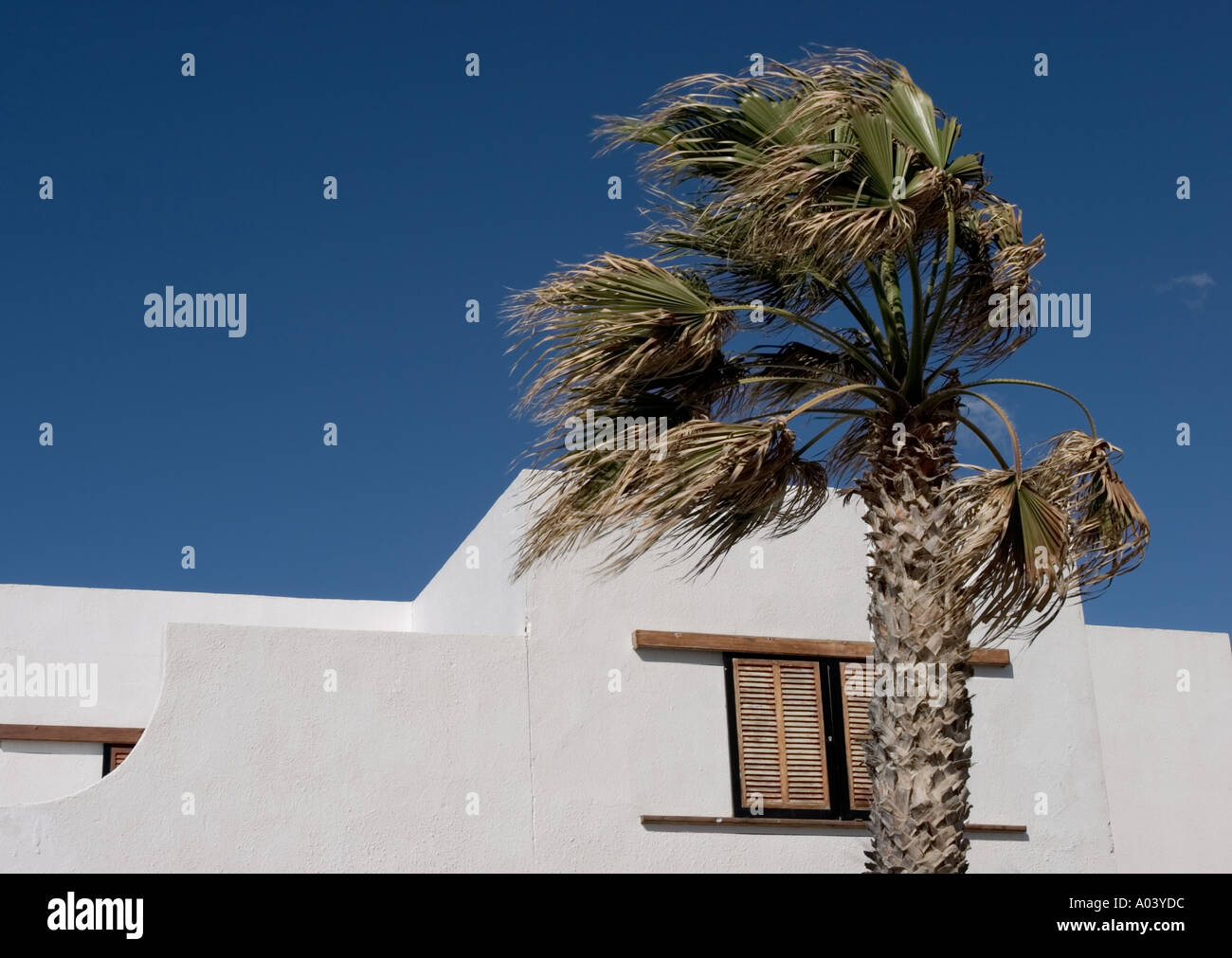 Costa del Silencio in south Tenerife Canary Islands Stock Photo