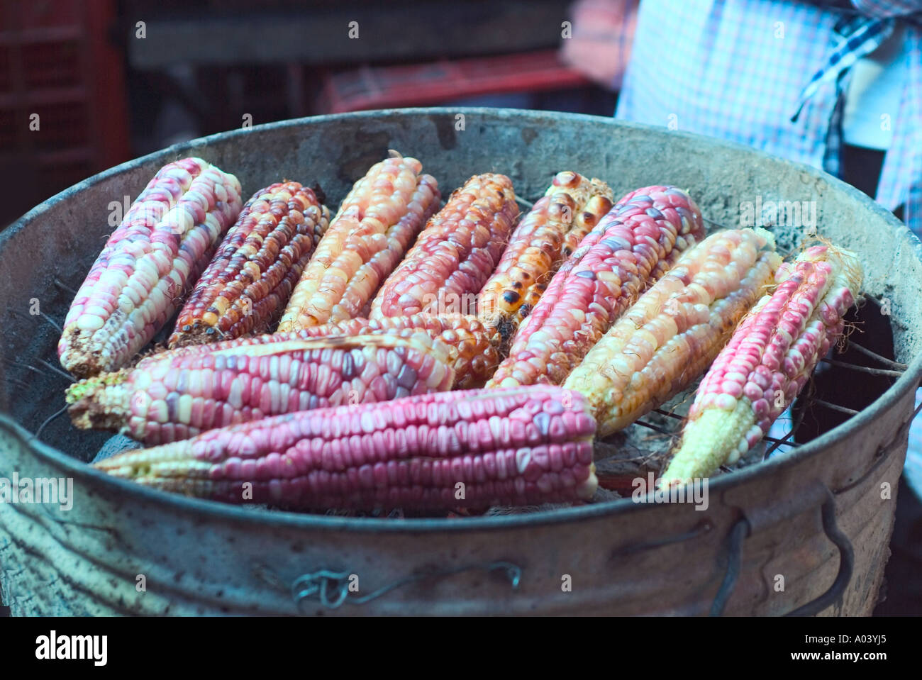 Roasting fresh corn on the cob at the Tuesday Market in San Miguel de Allende Stock Photo