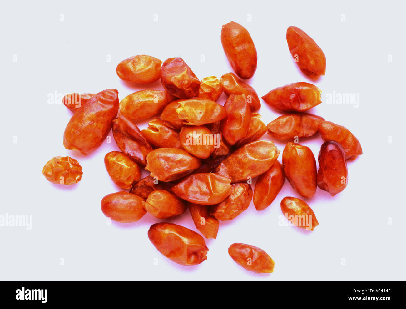 Piquin chilli hi-res stock photography and images - Alamy