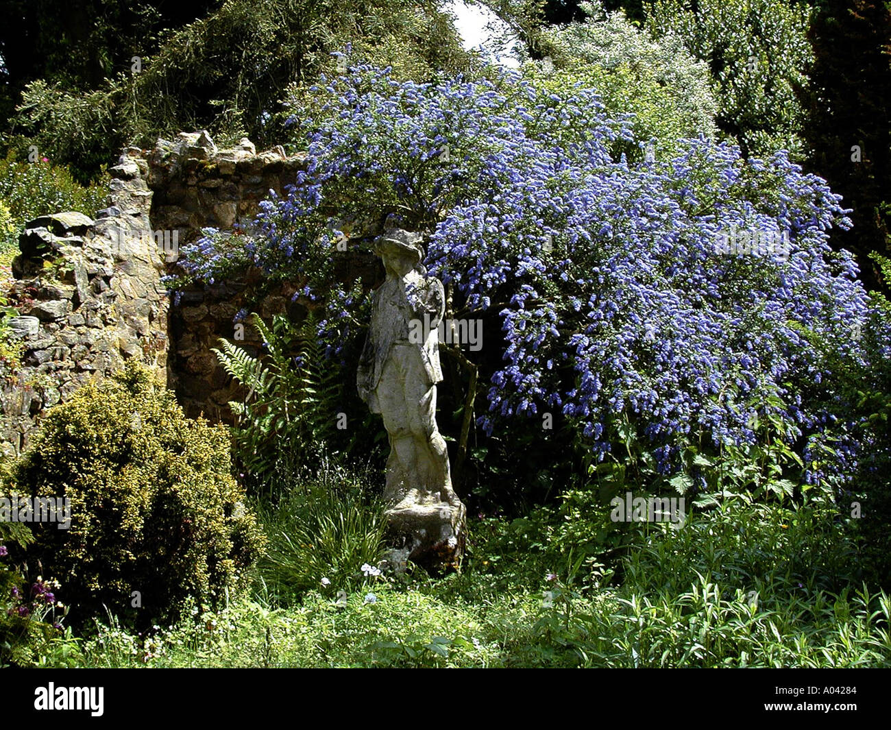 Statue Man smoking pipe with Ceanothus in background Stock Photo