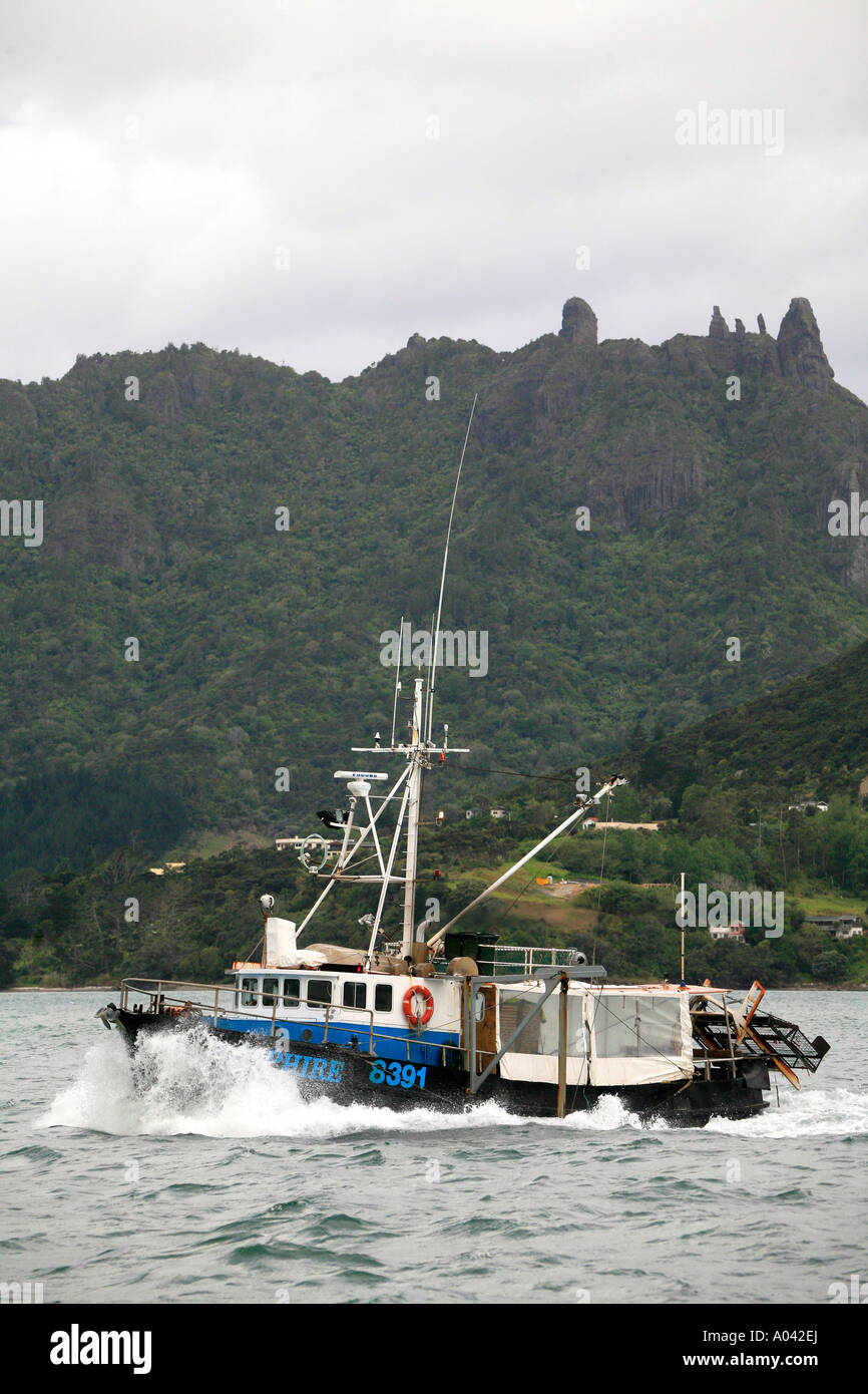 Scallop dredging trawler enters the Whangerei heads in northland NZ Stock Photo