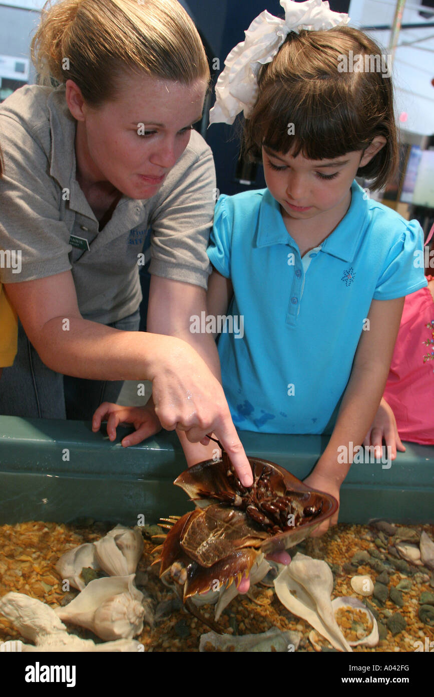 Alabama Dauphin Island,The Estuarium,public aquarium,hands on exhibit
