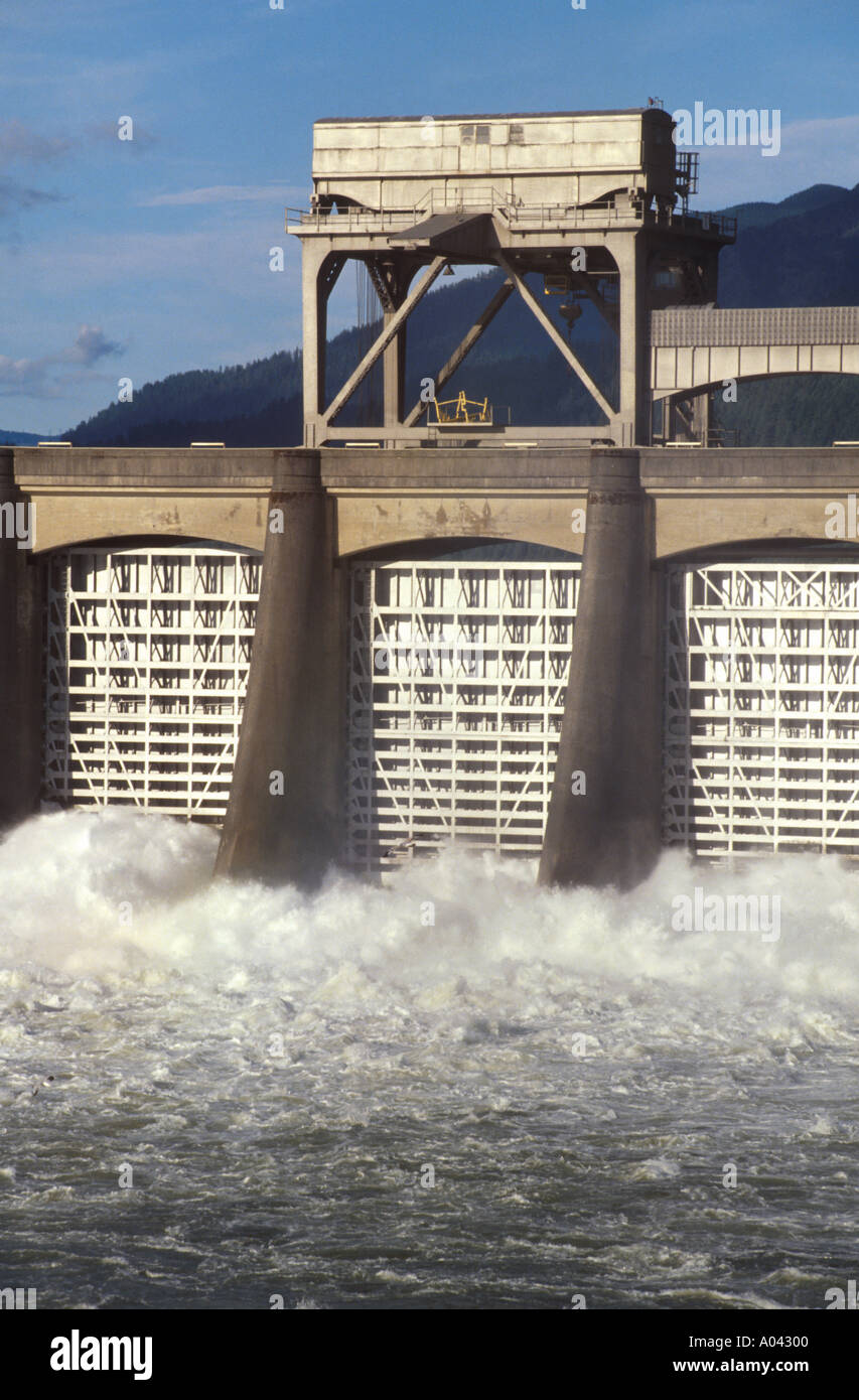 Bonneville Dam Columbia River Stock Photo Alamy