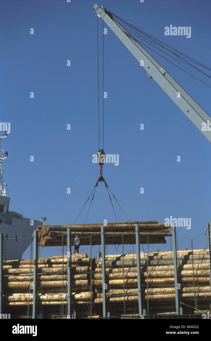 Ship being loaded with logs for export Stock Photo Alamy