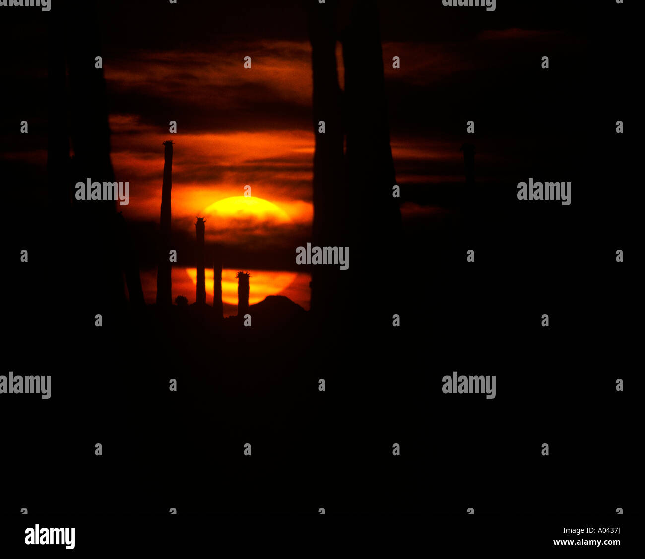 Sunset in sonoran desert hi-res stock photography and images - Alamy