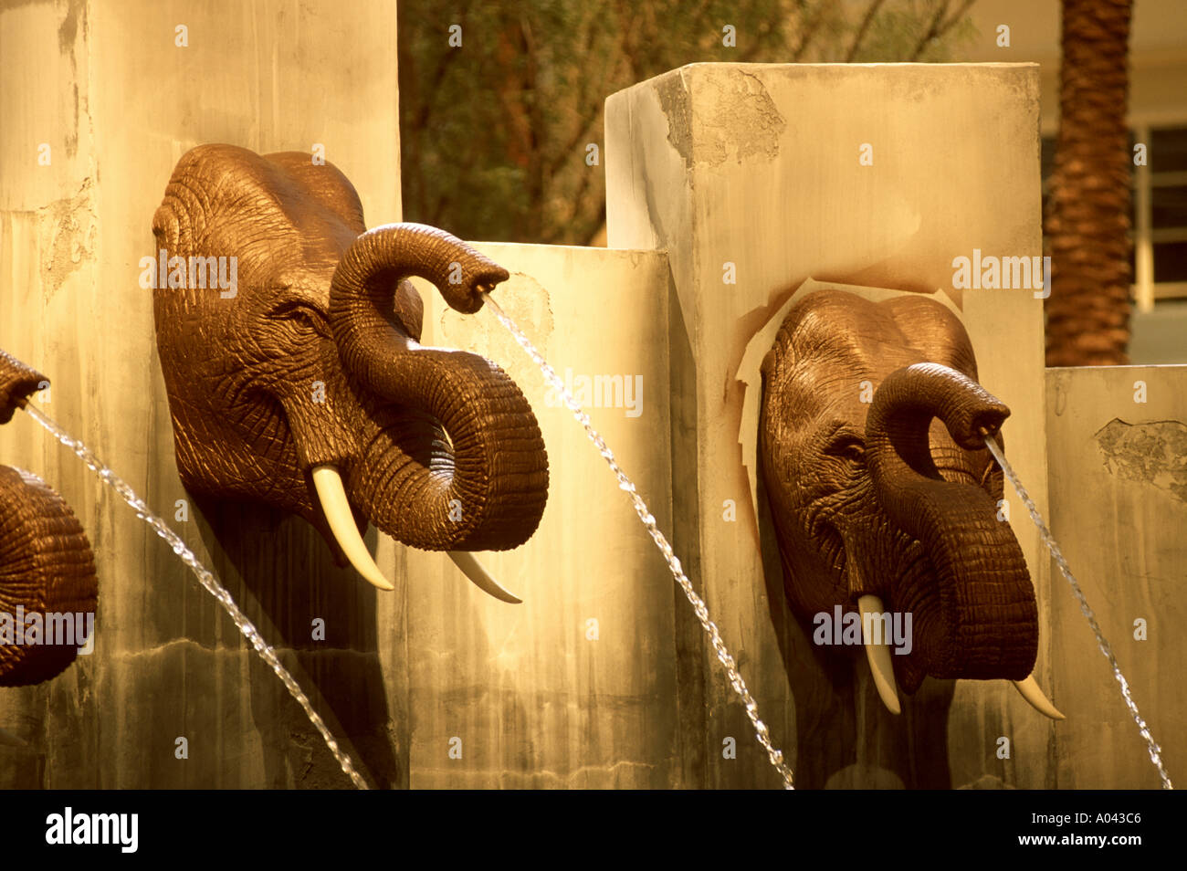 FOUNTAINS AT MANDALAY BAY HOTEL LAS VEGAS Stock Photo Alamy