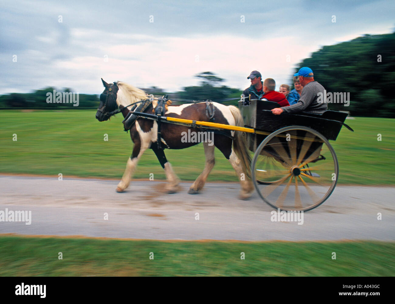 Horse and cart hires stock photography and images Alamy
